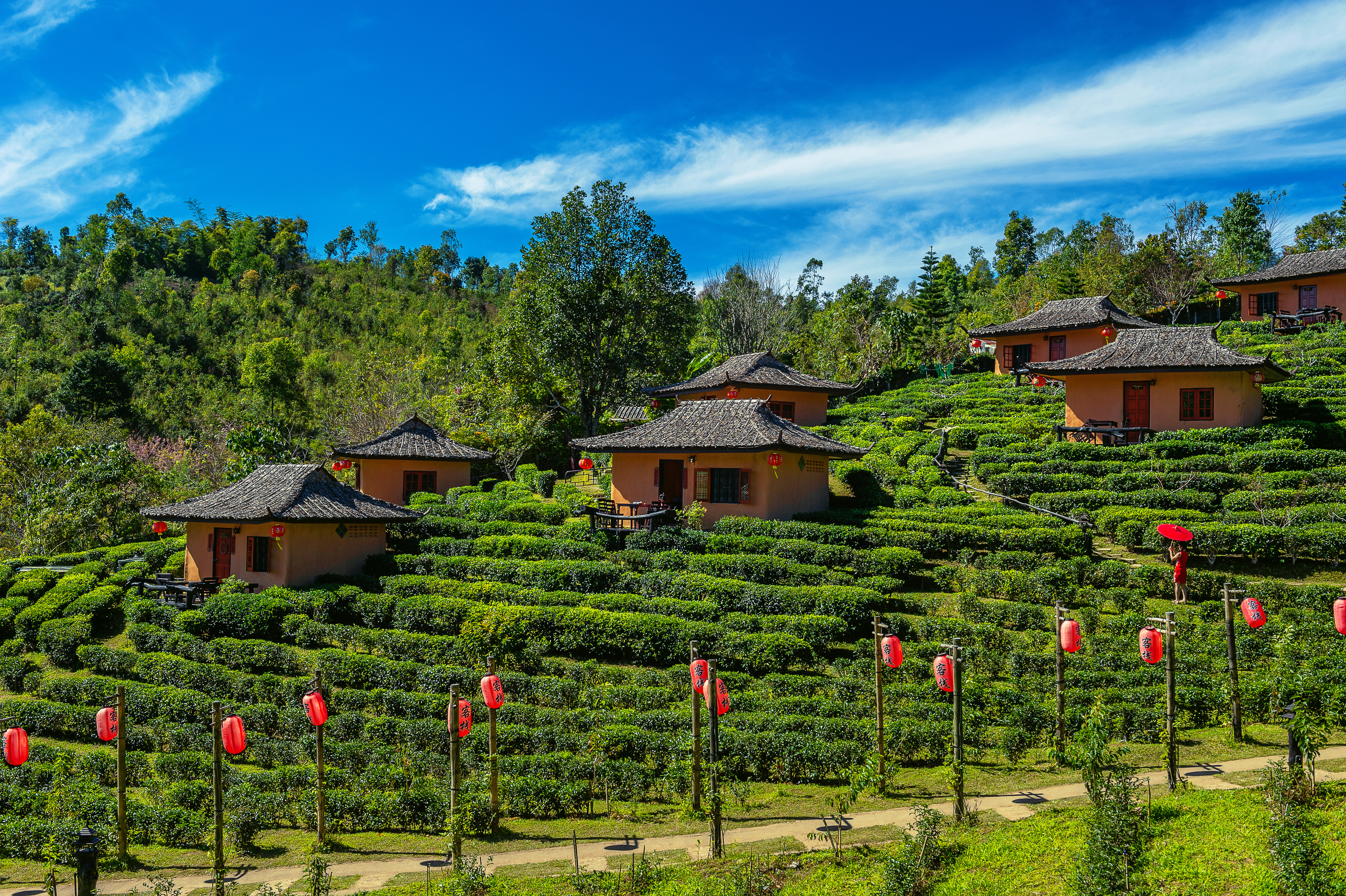 Bhutan Tour Packages – A Weeklong Himalayan Escape