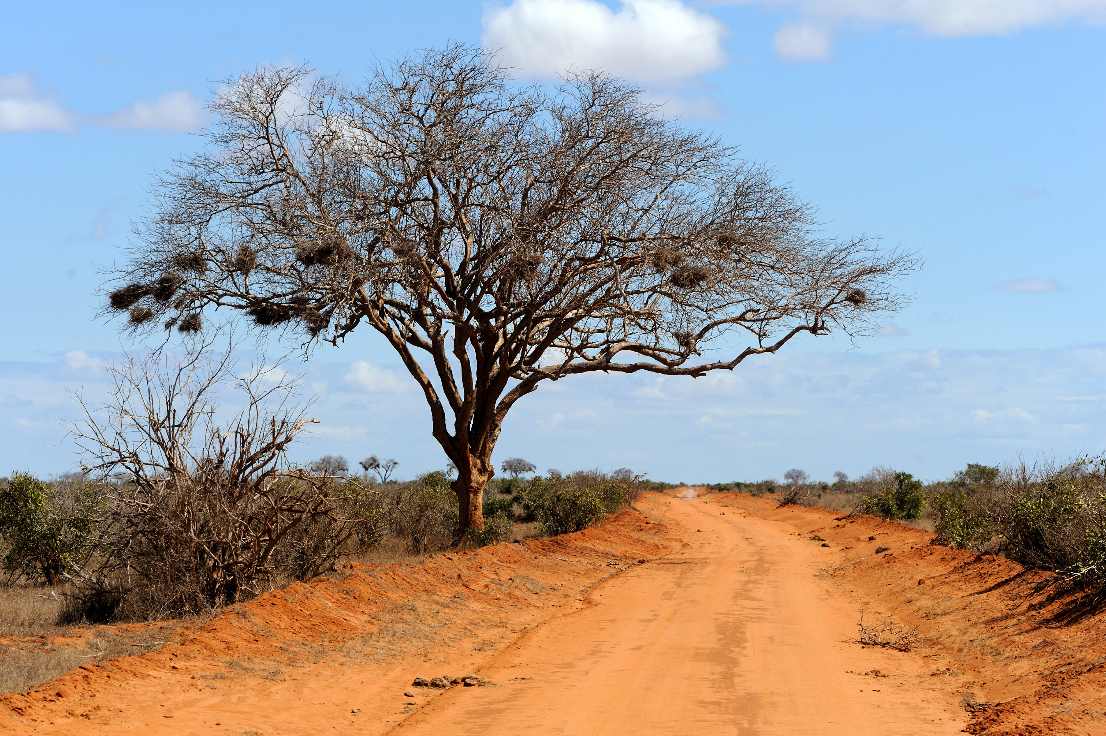 South Africa Tour Package – 8 Days / 7 Nights