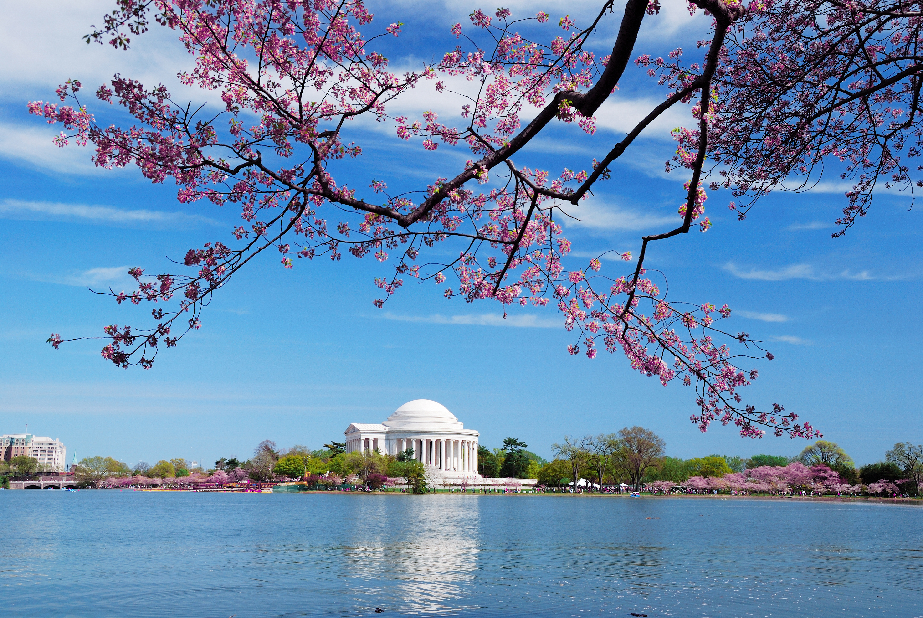 East Coast Wonders: NYC, Washington D.C., & Niagara Falls