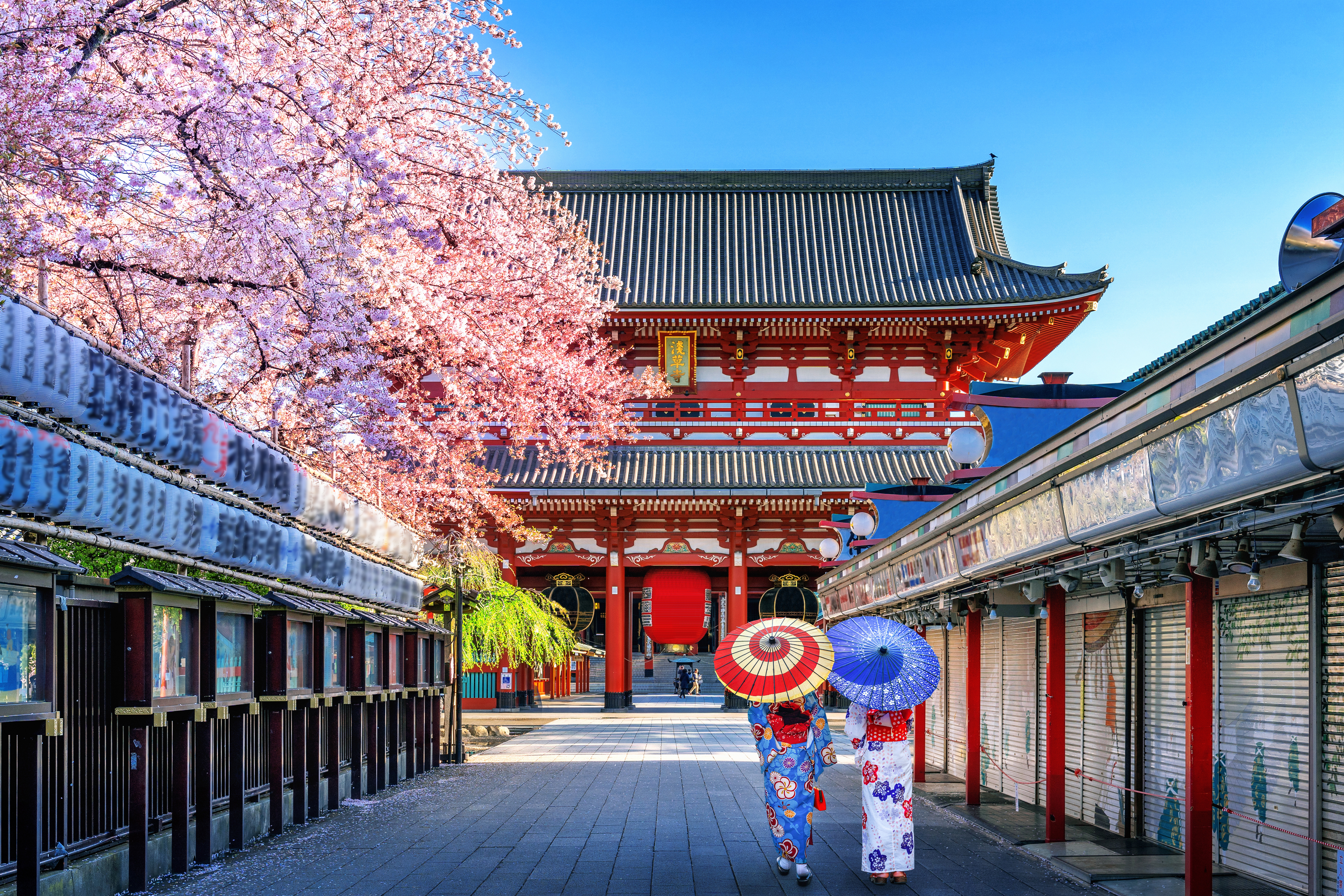 Explore Japan: Journey to the Cultural Treasure Trove