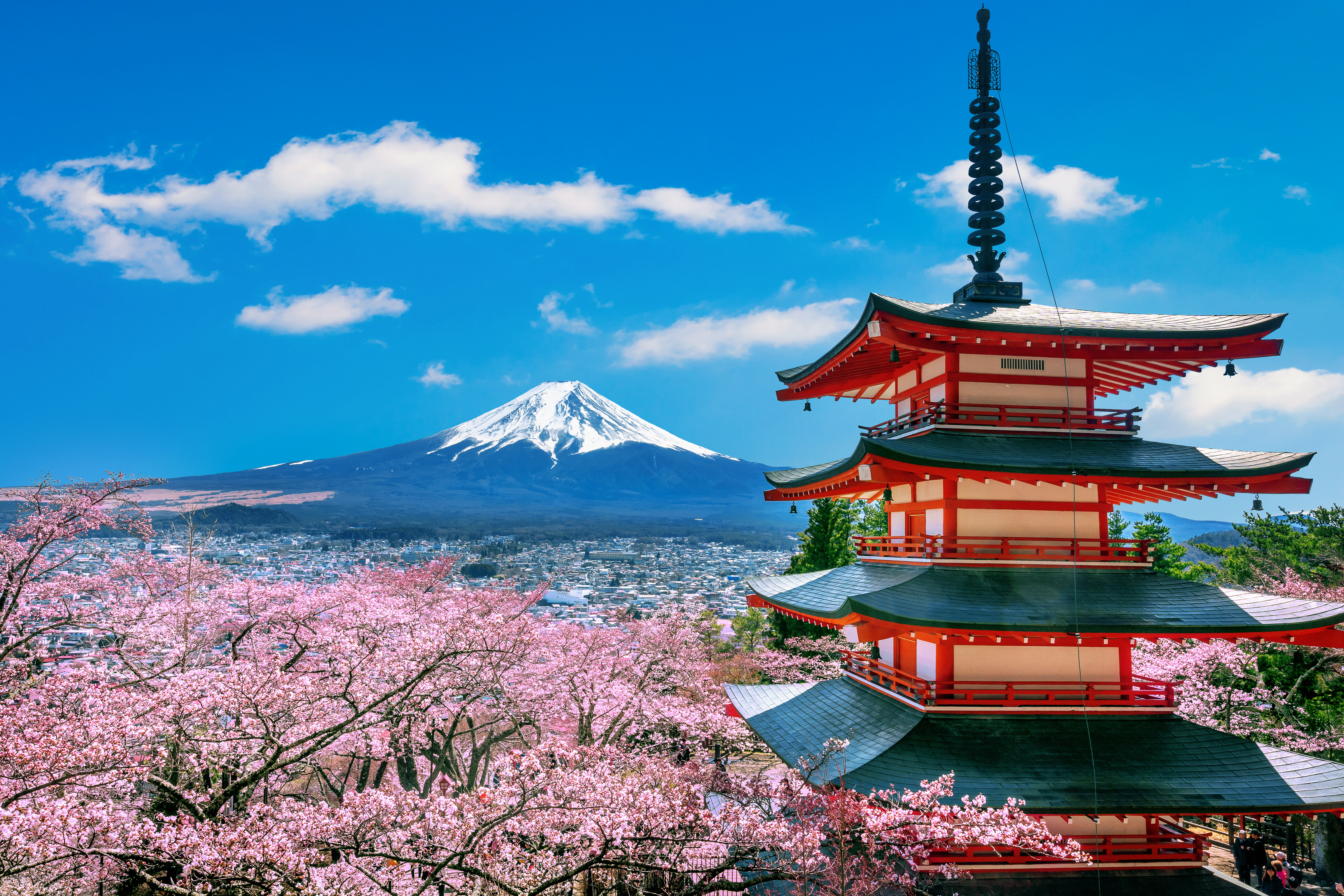 Explore Japan: Journey to the Cultural Treasure Trove