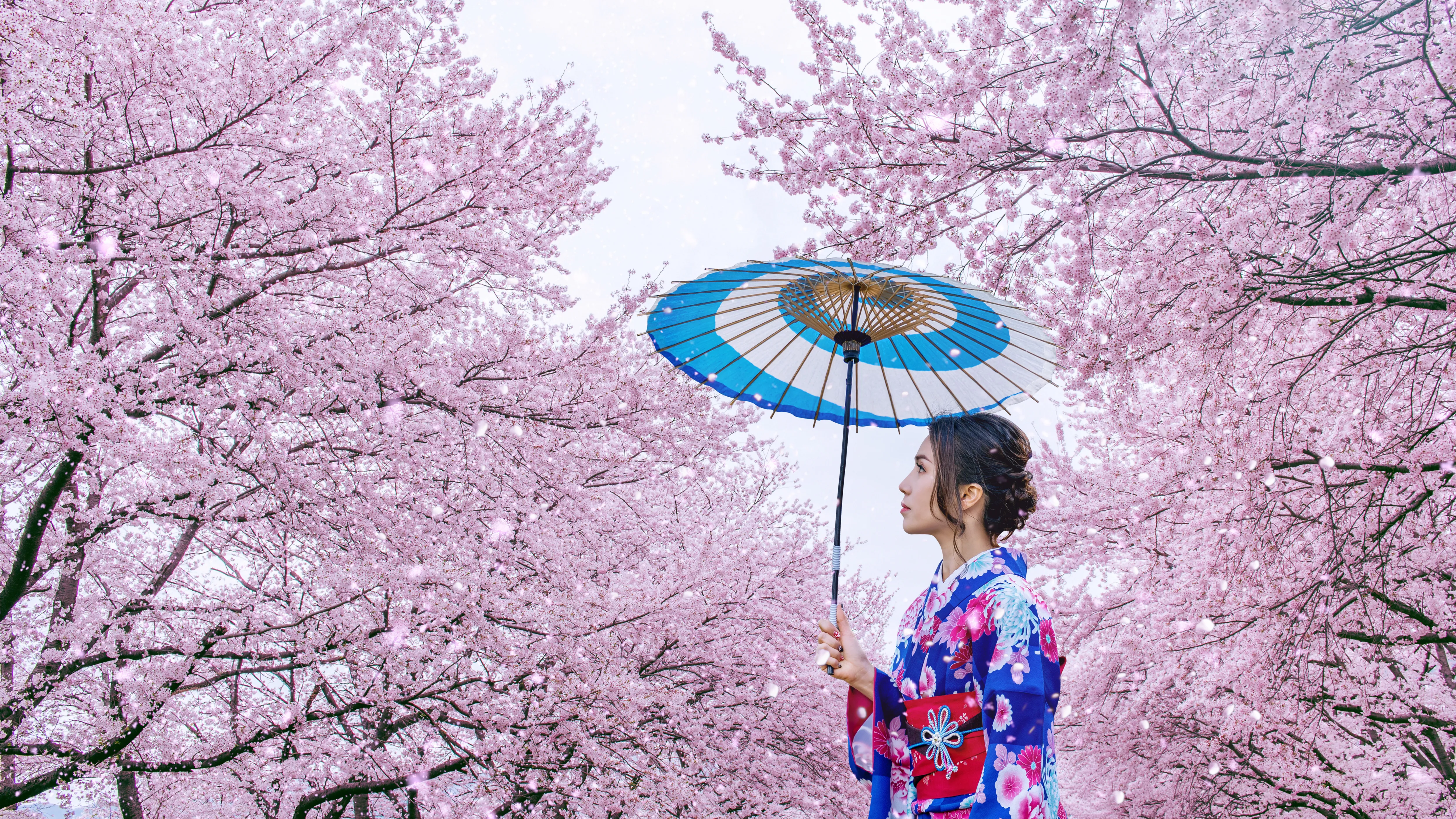 Japan Cherry Blossom Short Getaway