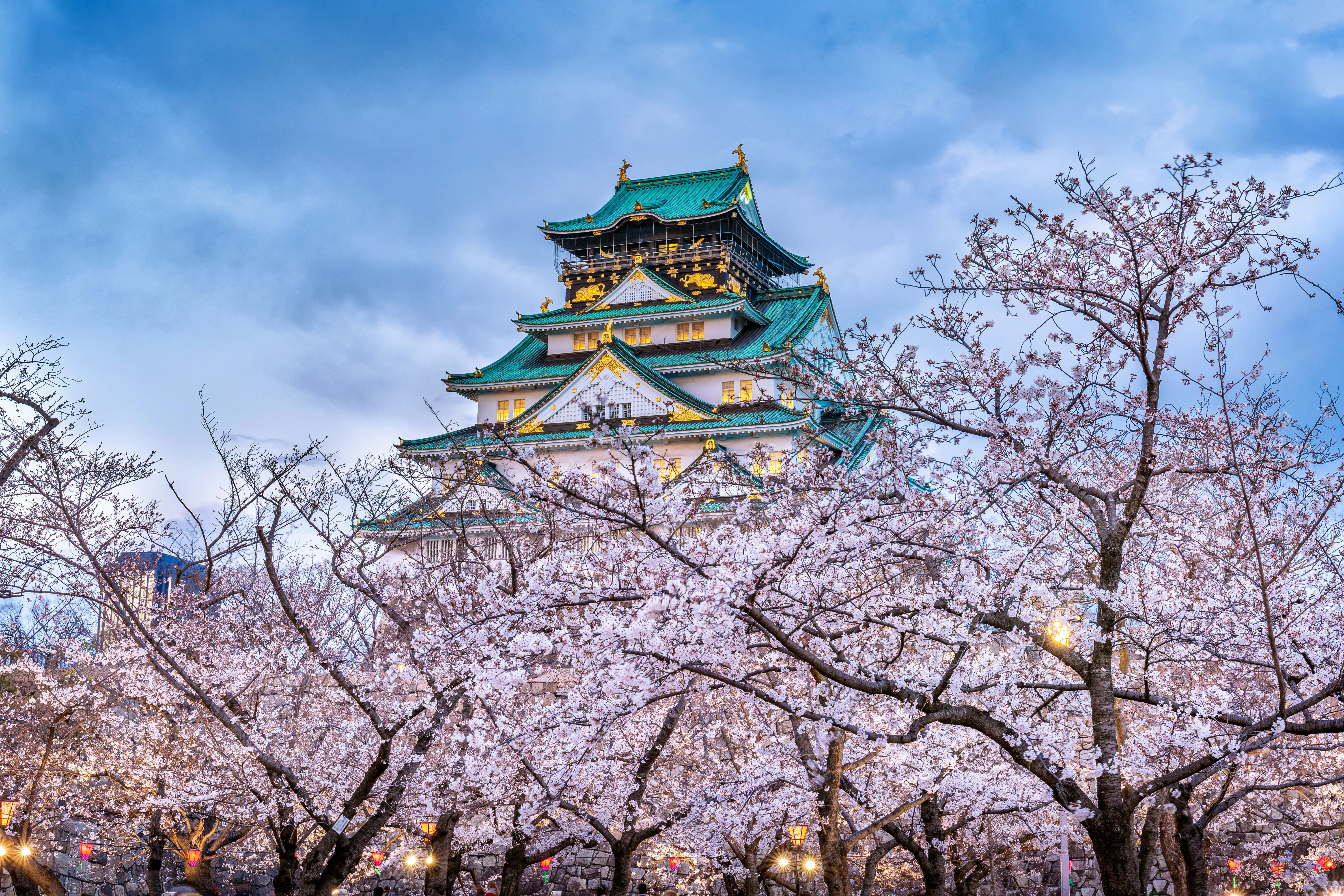 Japan Cherry Blossom Short Getaway