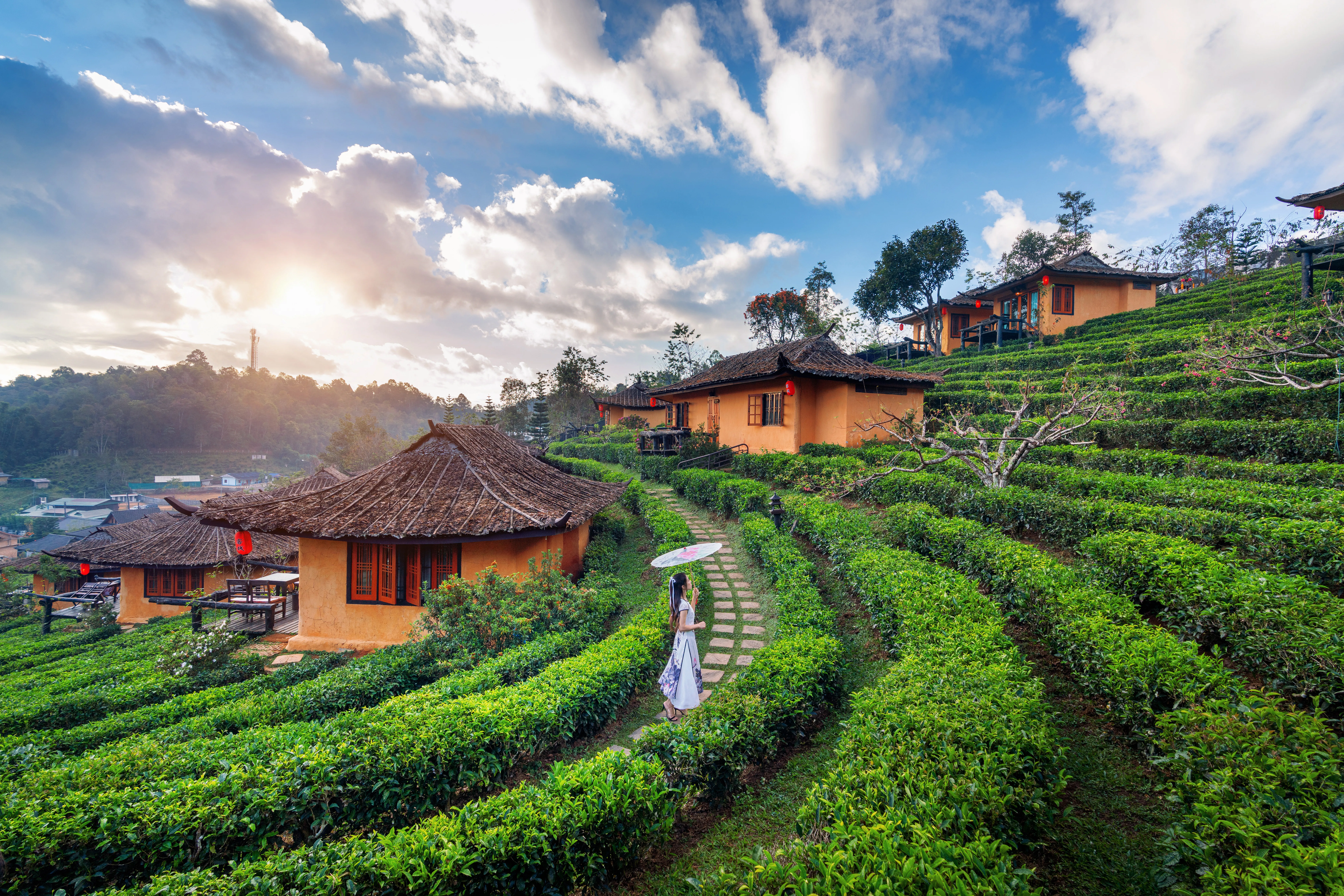 Classic Vietnam Vacation Package – North & South